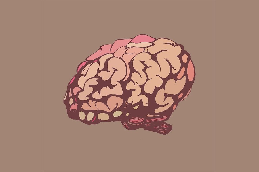 eLS: учёные Израиля нашли способ замедлить старение мозга на 9 месяцев