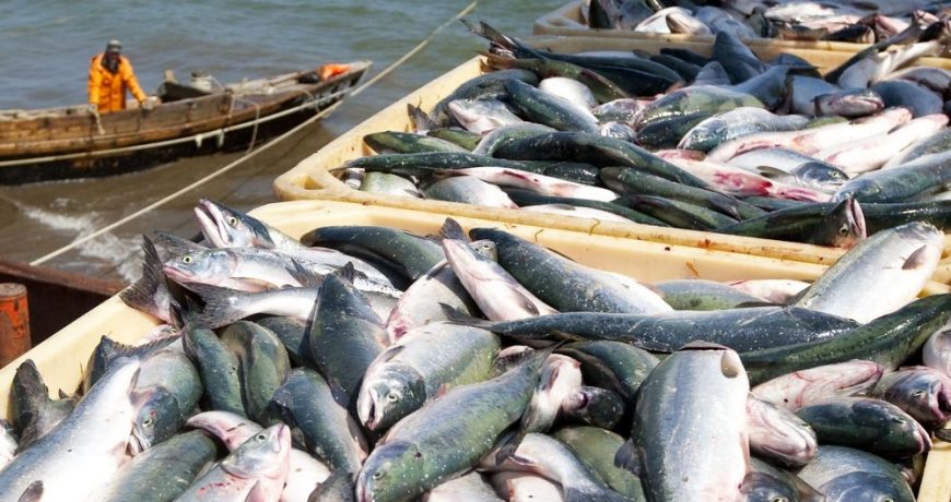 МИД Японии призвал Россию снять ограничения на импорт морепродуктов и рыбы, а Китай осудил за травлю