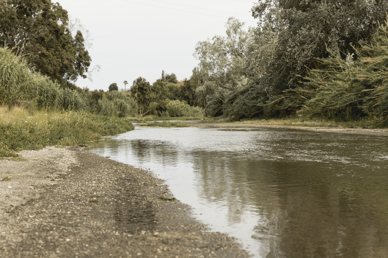 Свердловская область стала регионом с самыми грязными реками
