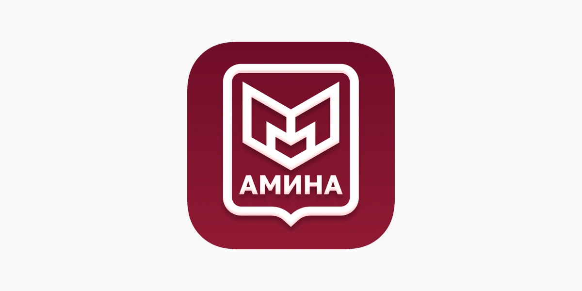 Приложение «АМИНА»: ответы на частые вопросы и юридические риски